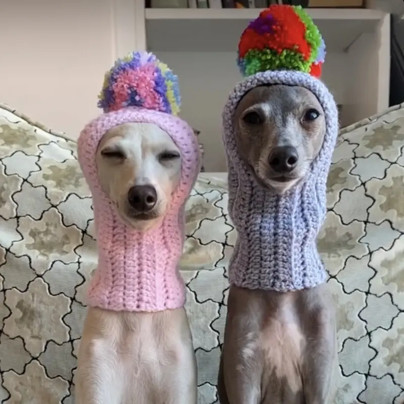 कुत्तों के लिए पालतू प्यारा हेलोलीन हैट कस्टम लोगो बुने लेबल हस्तनिर्मित सर्दियों बुना हुआ बीनी टोपी को बॉल बुलडॉग पालतू कुत्ते के साथ पालतू जानवर