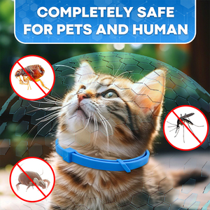 <span class=keywords><strong>Collar</strong></span> Antipulgas y Garrapatas <span class=keywords><strong>para</strong></span> Perros, 70cm, 8 Meses <span class=keywords><strong>de</strong></span> Protección, Impermeable, Hipoalergénico, Ecológico, Control <span class=keywords><strong>de</strong></span> Plagas <span class=keywords><strong>para</strong></span> Perros Grandes - Product Image 4