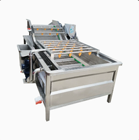 Commerciële groentewasmachine 304 roestvrij staal luchtbel fruitwasser industriële voedselverwerkingsapparatuur