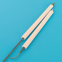 Électrode de Prise de Flamme en Céramique pour Cuisinière à Gaz Haute Tension, Capteur de Flamme en Alumine Al2O3, Pièces de Rechange pour Cuisinière OEM