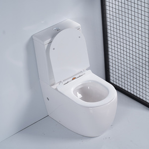 Bát Bể Chứa Nước Phòng Tắm Vách Ngăn Bằng Gốm 2 Mảnh Cho Nhà Vệ Sinh Cỡ Nhỏ - Product Image 2
