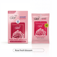 Désodorisant de voiture aromathérapie, désodorisant de poche Aer Power, désodorisant de voiture personnalisé, diffuseur de parfum pour voiture, accessoires auto