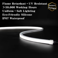Bande LED néon flexible 12*12mm 12V 24V à haute luminosité, vente directe usine, ruban fini pour hôtels de luxe, parcs et projets