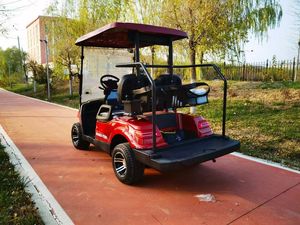 Carrito de Golf Eléctrico BD-DL Deluxe Personalizado de 2 Plazas con Batería, Carrito de Golf con Caja Refrigeradora, Portaequipajes, Certificación CE, GCC, EEC - Product Image 2