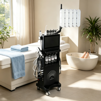 Machine faciale professionnelle V9 à succès : Lifting bipolaire, activation du collagène, raffermissement cutané – Équipement de salon