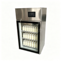 Armoire Réfrigérée Commerciale Automatique pour la Fermentation du Yaourt, en Acier Inoxydable pour Laiteries et Cafés