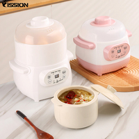 FISSION Electric Automatic Digital Multi-Function Slow Cooker dengan Efisiensi Energi Kelas A untuk Penggunaan Rumah Tangga