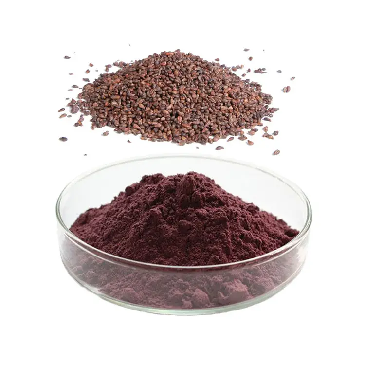 Natürliches Nahrungsergänzungsmittel Saatproszyaninidine 95% 10:1 Traubenkerne Traubenkernextrakt Pulver OPC