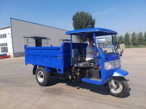 柴油三轮车3轮三轮车18hp 22HP 24HP柴油三轮车重型货物柴油3轮trimoto三轮车 - Product Image 3