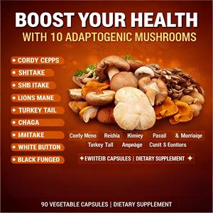 Complexe de champignons premium 2600 mg, 10 champignons puissants, crinière de lion, shiitake, queue de dinde, 90 capsules végétales, non-OGM, végétalien, GMP - Product Image 4