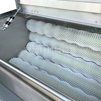 Automatische aardappelwasser en -schiller voor zoete aardappelen, cassave, taro, fruit en groenten, voor commercieel gebruik, hoge capaciteit.
