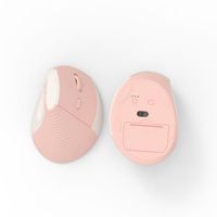 Pabrik Customizes 101 Dual-mode vertikal ergonomis berdiri Mouse bisnis 7 tombol pengisian daya nirkabel untuk penggunaan Laptop