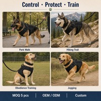 Harnais pour animaux de compagnie, harnais tactique réfléchissant pour chien, ensemble laisse, harnais d'entraînement pour animaux de compagnie en nylon résistant