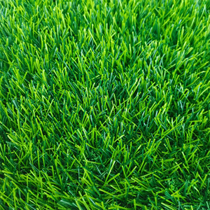 Giao hàng nhanh 38mm cỏ nhân tạo 2m * 25m CuộN Cổ Phiếu có sẵn cỏ xanh Thảm Cảnh quan <span class=keywords><strong>Turf</strong></span> - Product Image 3