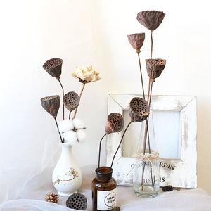 Fiori e Piante Essiccate all'Ingrosso per Decorazioni Domestiche, Ideali per Lauree e Halloween, Inclusi Viburnum e Baccelli di Loto Essiccati - Product Image 1