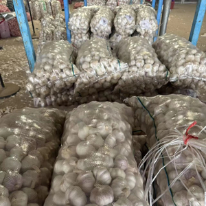 <span class=keywords><strong>Ail</strong></span> sauvage <span class=keywords><strong>violet</strong></span> frais de nouvelle culture chinoise 5.0cm 5.5cm Ajo Chino pour la nourriture populaire en Amérique du Sud avec un emballage en carton de 10kg - Product Image 6