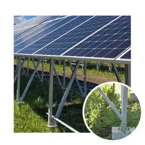 Kosteneffectief Pv Grondstellingssysteem Montage Zonne-Energie Grondmontagesysteem Aluminium Hot-Dip Gegalvaniseerd 25 Jaar 1000Pcs