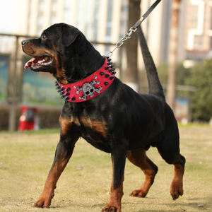 Venta al por mayor PU cuero cráneo perro Spike <span class=keywords><strong>Collar</strong></span> - Product Image 2