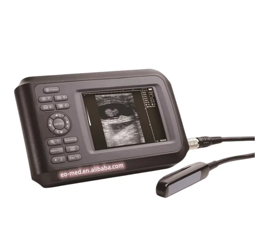 Sonde rectale linéaire et convexe multi-fréquence scanner à ultrasons vétérinaire portatif équipement à ultrasons V6