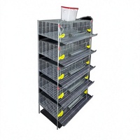 Nouvelle cage à cailles commerciale durable avec système d'évacuation automatique du fumier, construction métallique pour la gestion moderne de la volaille en ferme intérieure