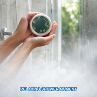 Tablette de douche effervescente OEM ODM à l'eucalyptus et à la menthe 30g, personnalisable avec marque privée, pour un ensemble cadeau spa apaisant et relaxant