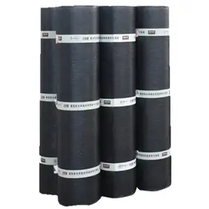 New Design Good Quality Eco-Friendly Designs Affordable And Decorative Modified Bitumen Membrane