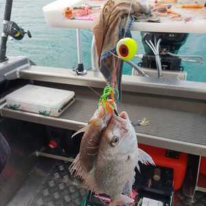 60g 80g 100g 120g 150g 200g Tai Rubbers Snapper Sea Fishing Baits Kabura Slider <strong>Jigs</strong> <strong>Madai</strong> <strong>Jigs</strong> Sinker Lead Jigging Lures Boat - - Product Image 6