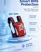 36V 20AH Baterai Lithium Ion Prisma Persegi Isi Ulang 720W untuk Mesin Pemotong Rumput Listrik, Alat Tenaga, dan Penyimpanan Ransel
