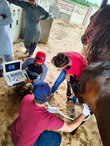 EUR VET menjual mesin Ultrasound dengan baik kualitas bagus instrumen kedokteran hewan portabel Ultrasound - Product Image 6