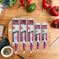 Ensemble de couteaux de cuisine en acier inoxydable de 5 pièces avec revêtement antiadhésif et poignée antidérapante, design imprimé floral, couleur personnalisée, sans danger pour les aliments