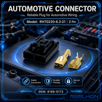 Connecteurs électriques automobiles à connexion rapide mâle-femelle 2 broches en cuivre PA66 étanches IP67 avec support de personnalisation