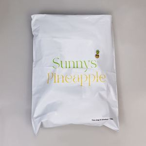 Sobres de Polipropileno Lisos al por Mayor de Fábrica, Sobres de Polipropileno Personalizados Autoadhesivos Impermeables para Envíos y Embalaje - Product Image 3