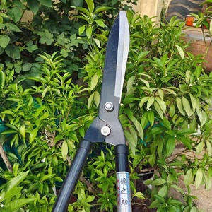 Sécateur Tokunosuke 45-60 cm en acier à haute teneur en carbone, tête droite, noir, outil de jardinage pour la taille des arbres - Product Image 1