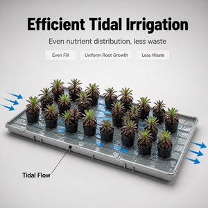 Vassoio idroponico ABS per semina a flusso e riflusso, per sistema di <span class=keywords><strong>irrigazione</strong></span> in serra e vivaio, personalizzabile - Product Image 2