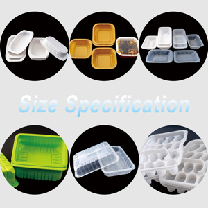 לוגו מותאם אישית מגשי פלסטיק תהליך שלפוחית pp חומר לחיות מחמד עבור עוגה סושי סלט פיצה הסיטונאי - Product Image 2