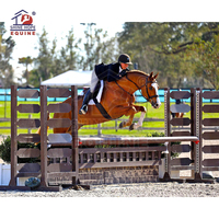 Produits pour chevaux clôture de saut parcours d'obstacles extérieur spectacle équestre professionnel saut d'obstacles