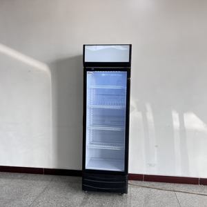 ตู้แช่เครื่องดื่มแบบกระจก ตู้เย็นเชิงพาณิชย์แบบมีประตูกระจก ตู้แช่แข็งแนวตั้งแบบมีประตูกระจก - Product Image 3