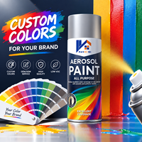 Peinture en aérosol à usage général, séchage rapide, peinture en aérosol multi-usages, fabricant OEM, étiquette privée