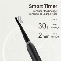 Brosse à dents électrique sonique, type C, charge rapide, 6 modes, minuteur intelligent, étanche IPX7, brosse à dents électrique pour adultes