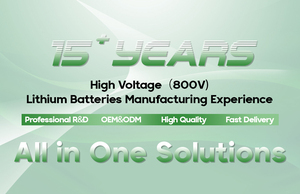 Rechargeable 24V <b>Battery</b> Pack 12V 36V 48V <b>72V</b> 80V 96V 450AH Traction for Lift Truck - Product Image 5