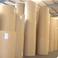 Sacs en rouleaux de papier kraft vierge de haute qualité, anti-frisottis, surface lisse, bonne rigidité, 40-450 g/m², tailles personnalisables, impression numérique