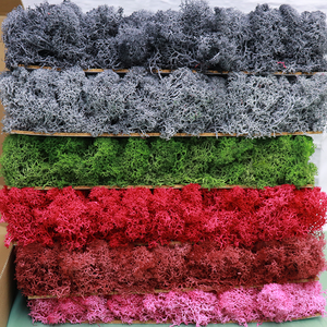 Carreaux muraux en mousse verte de haute qualité, mousse stabilisée de couleurs mélangées pour décoration de Noël, fleurs conservées, plantes, vente en gros en usine - Product Image 6
