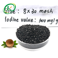 Charbon actif de coque de noix de coco de qualité alimentaire utilisé pour le traitement de l'eau pure et la purification de l'air.