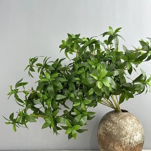 Plante d'Andromède japonaise artificielle au toucher réel personnalisé Latex 70cm 6 branches tige <span class=keywords><strong>Japonica</strong></span> pour décorations de mariage à la maison - Product Image 3