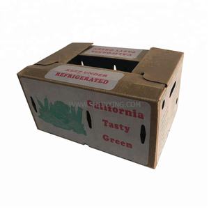 Tomate cirée Farm Fresh 50*40*30 Logo personnalisé - Product Image 5