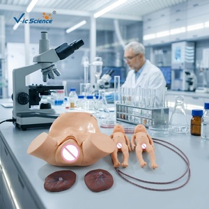 Manichino a grandezza naturale per addestramento all'assistenza all'illuminazione, modello realistico in PVC per simulazione di parto, per l'insegnamento in laboratorio medico, certificato CE/ISO/ROHS/CNAS - Product Image 6