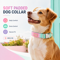 Collier pour chien en nylon doublé néoprène souple OEM ODM, impression dégradée personnalisée, largeur de sangle, finition boucle métallique et conception de patch logo