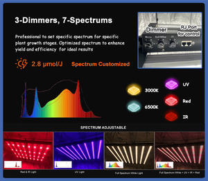 Samsung Lm301h Evo Lm281b Led élèvent la lumière à spectre complet 1000W 10 barres Uv Ir1000w élèvent la lumière augmentent les anthocyanines - Product Image 2