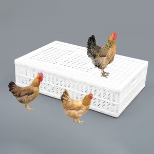 Slaughterhouse Verwerking Vereist Grote Sliding Top Deur Kleine Vogel Transport Krat Voor Duiven - Product Image 3