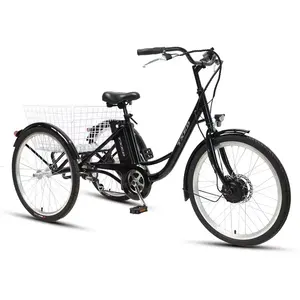 TXED Hot Selling City 3 Wheel Cargo Bike 250W Electric Tricycle Electric Bicycle